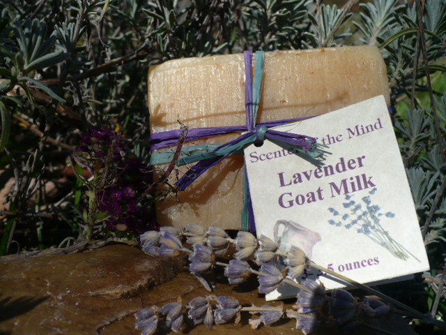 Lavender Goat Milk soap