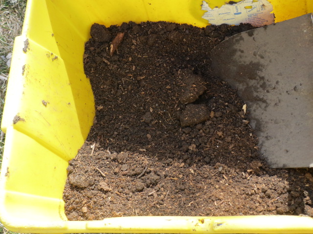 IMG_0281 Mixing dirt with peat moss