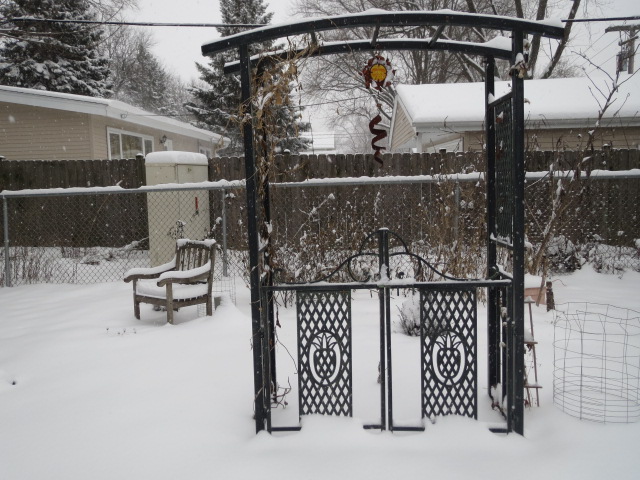My garden in snow