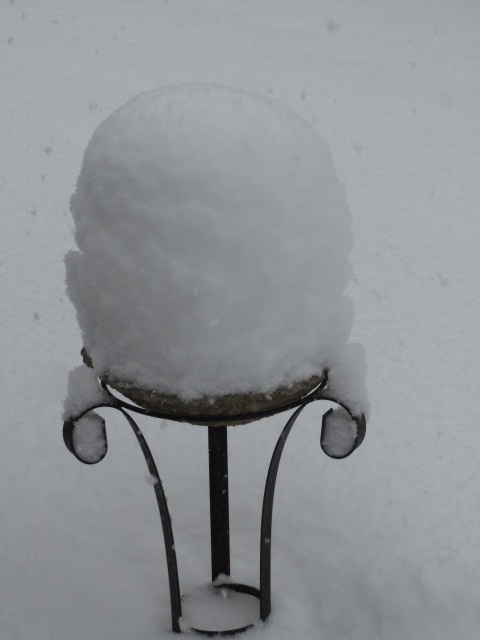 bird bath covered with snow