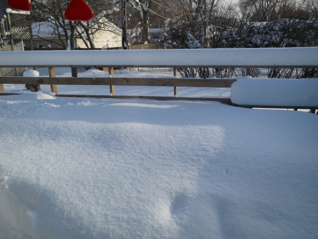 sun shining on the snow