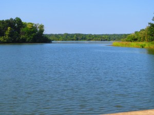 Busse Lake